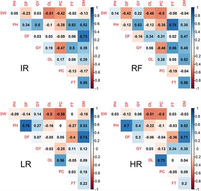 Genomic prediction and selection response for grain yield in safflower